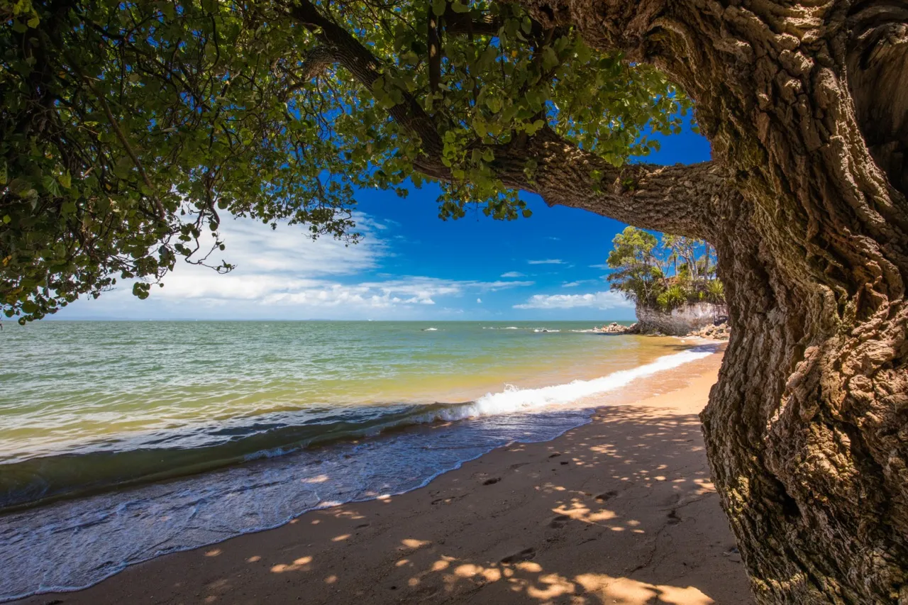 Suttons Beach